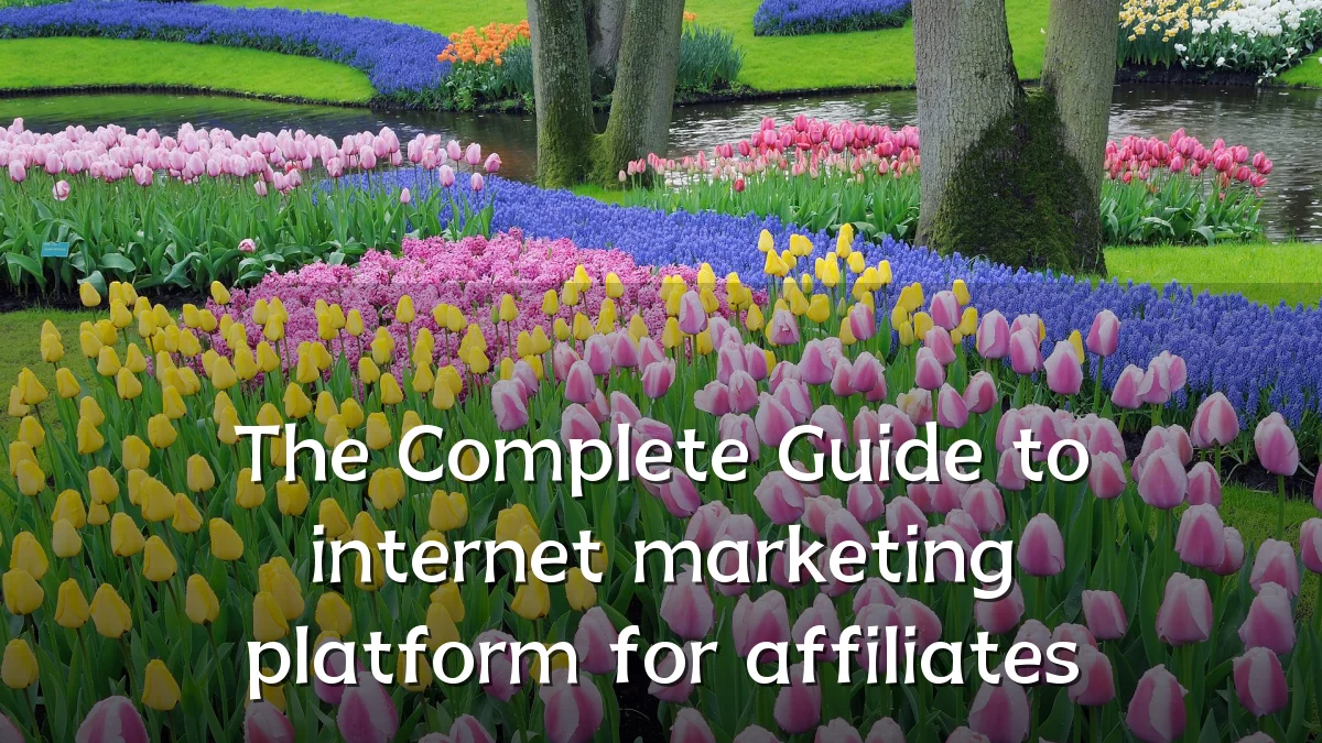 The Complete Guide to internet marketing platform for affiliates