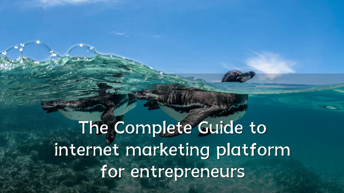 The Complete Guide to internet marketing platform for entrepreneurs
