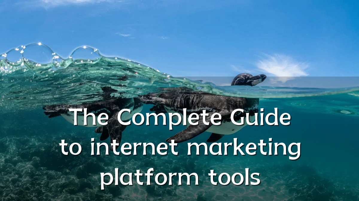 The Complete Guide to internet marketing platform tools