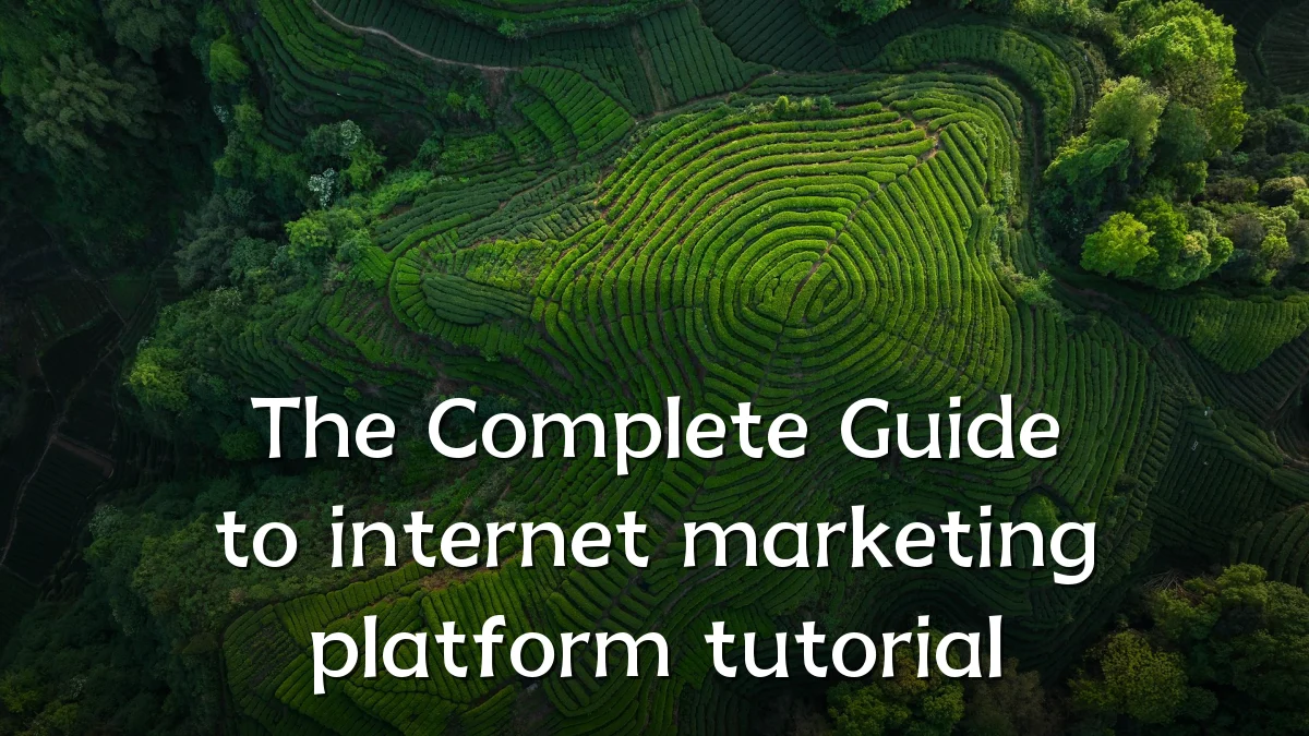 The Complete Guide to internet marketing platform tutorial