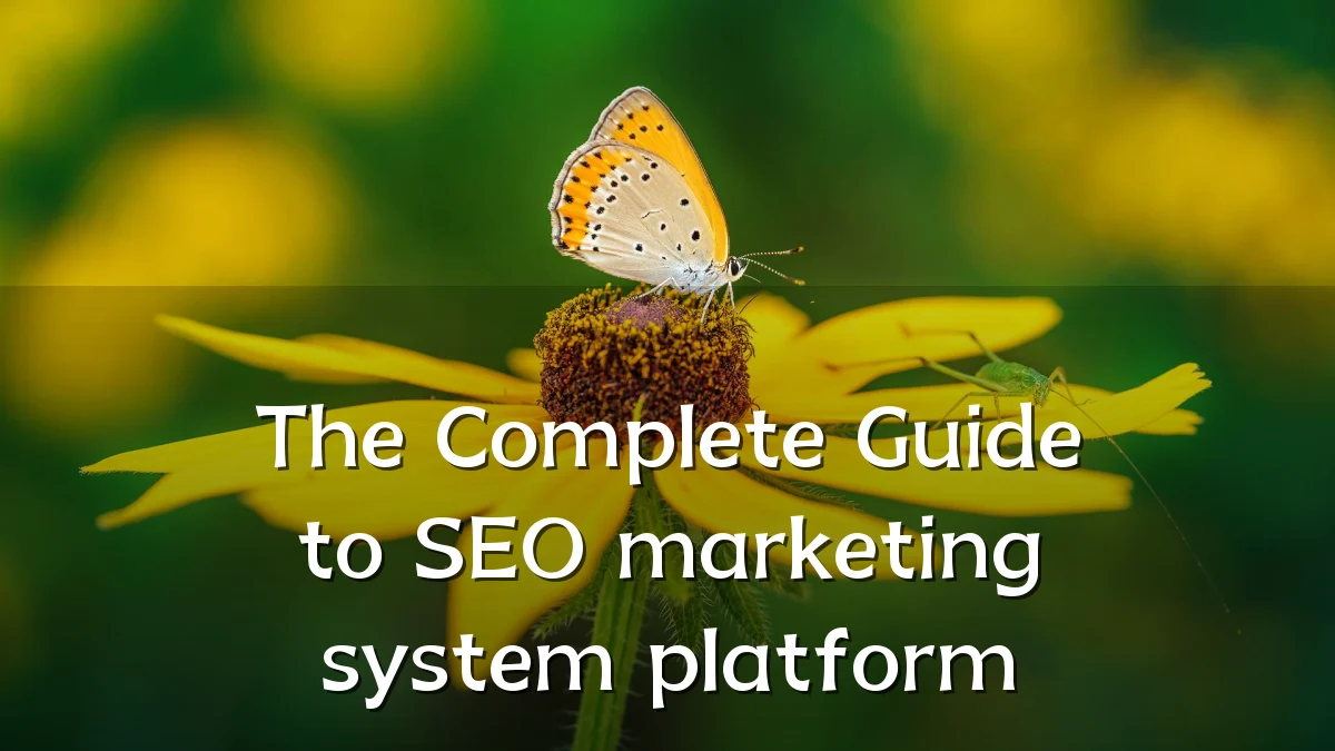 The Complete Guide to SEO marketing system platform
