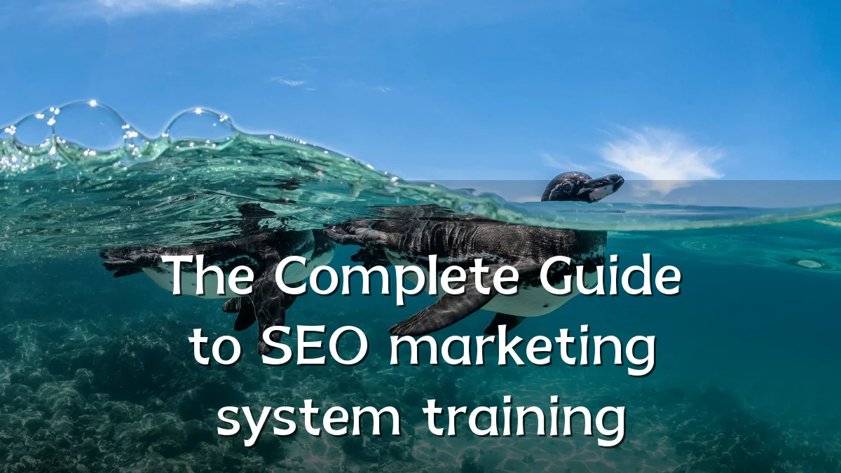 The Complete Guide to SEO marketing system training