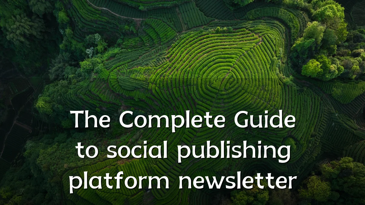 The Complete Guide to social publishing platform newsletter