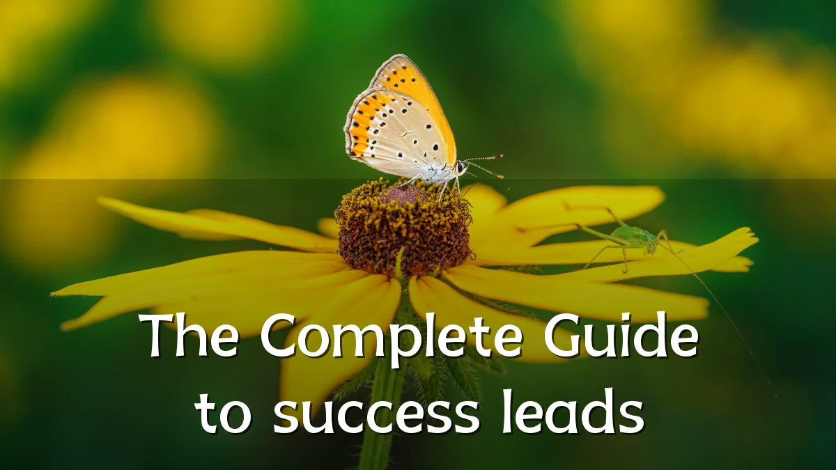 The Complete Guide to success leads