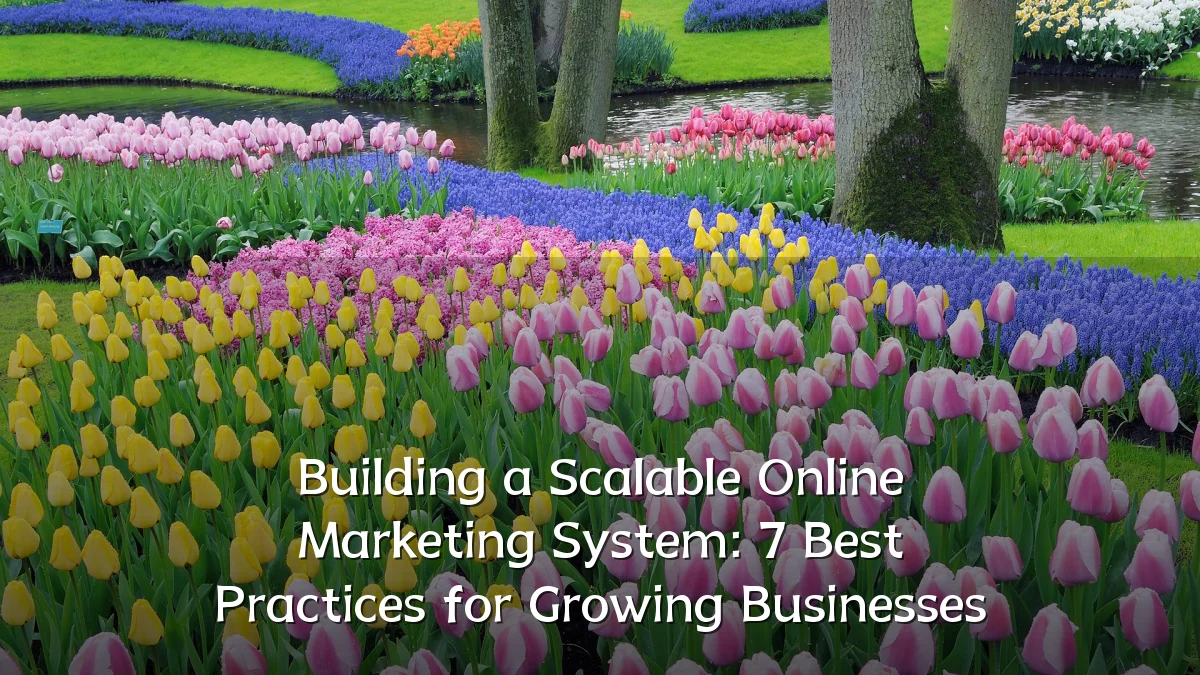 Building a Scalable Online Marketing System: 7 Best Practices for Growing Businesses