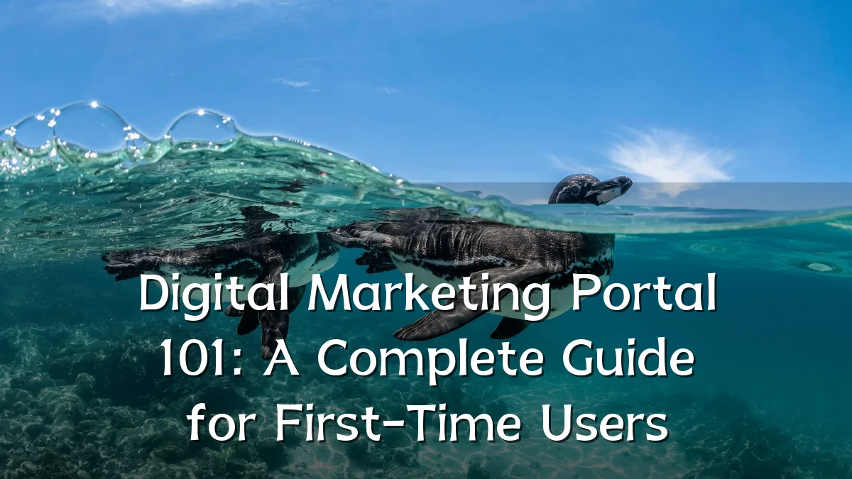 Digital Marketing Portal 101: A Complete Guide for First-Time Users