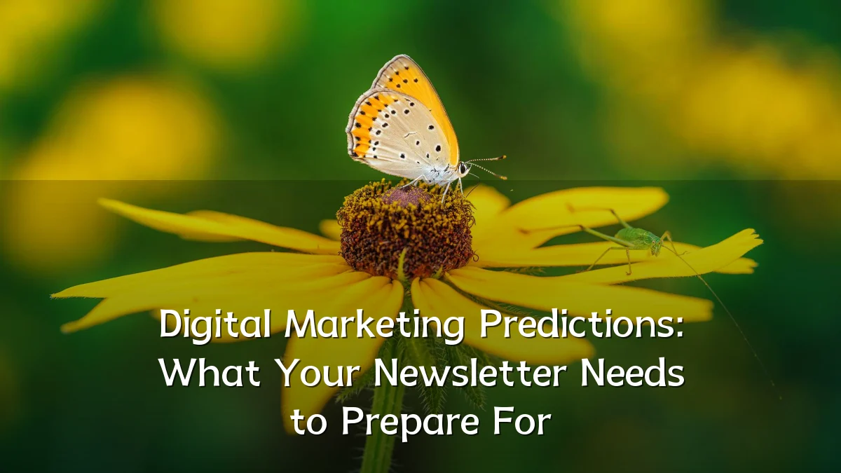Digital Marketing Predictions: What Your Newsletter Needs to Prepare For