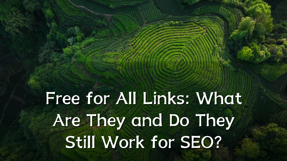 Free for All Links: What Are They and Do They Still Work for SEO?
