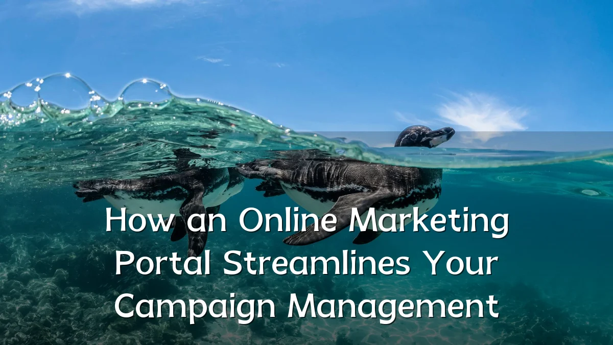 How an Online Marketing Portal Streamlines Your Campaign Management