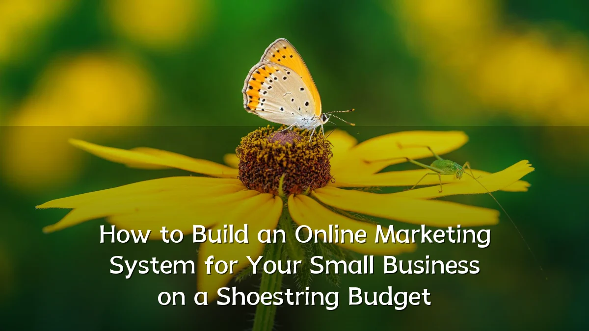 How to Build an Online Marketing System for Your Small Business on a Shoestring Budget