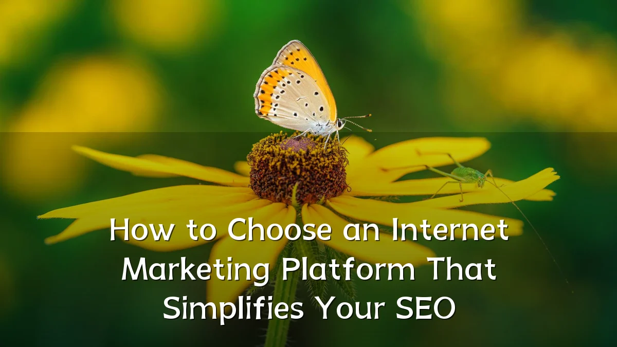 How to Choose an Internet Marketing Platform That Simplifies Your SEO