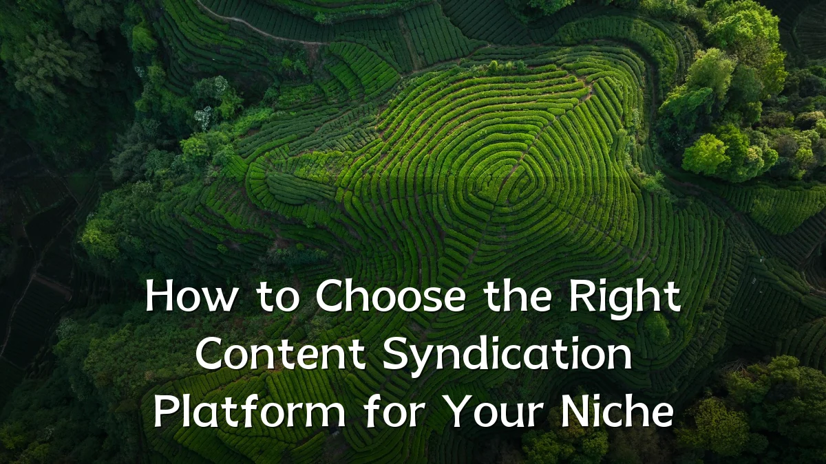 How to Choose the Right Content Syndication Platform for Your Niche