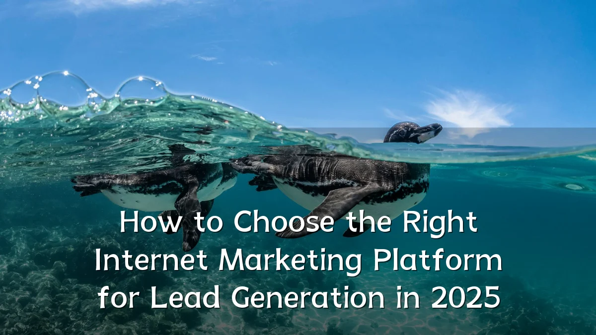 How to Choose the Right Internet Marketing Platform for Lead Generation in 2025