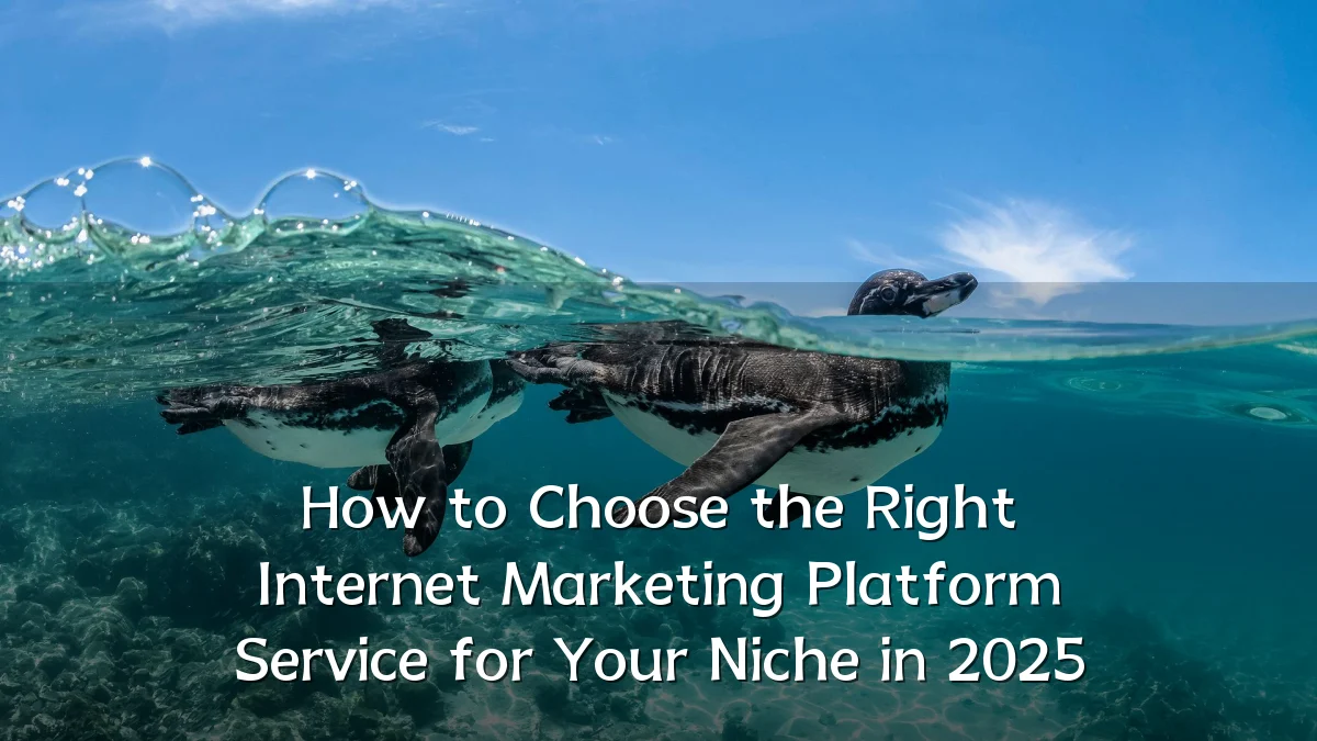 How to Choose the Right Internet Marketing Platform Service for Your Niche in 2025