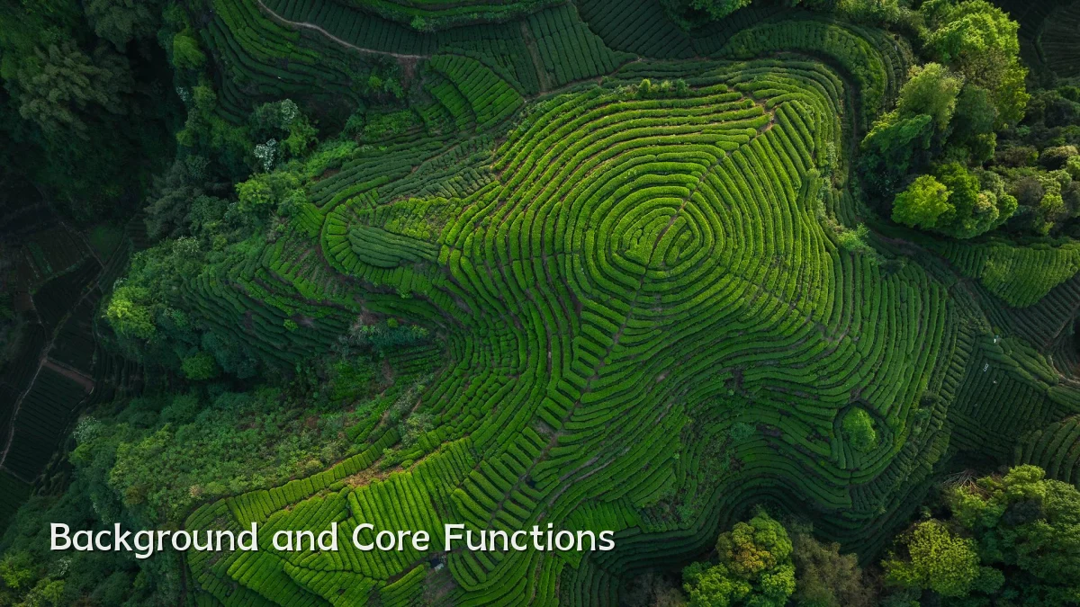 Background and Core Functions