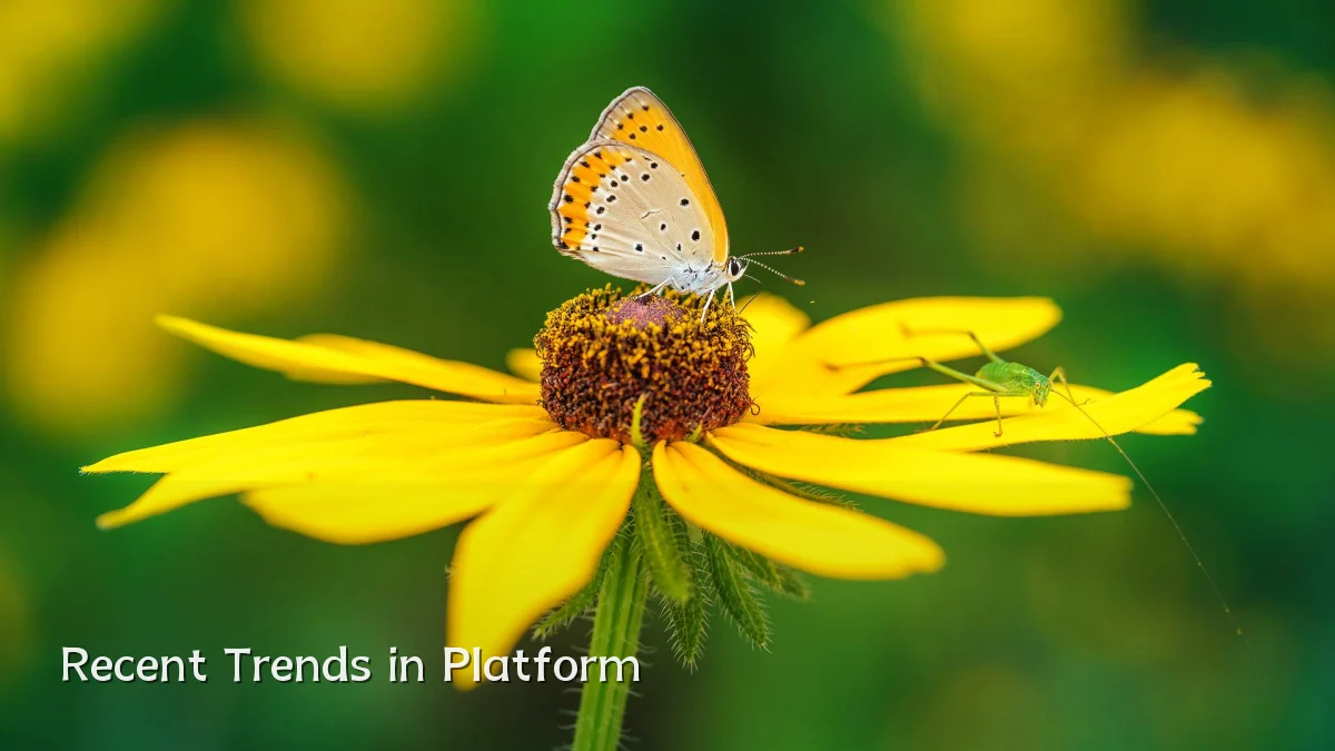 Recent Trends in Platform