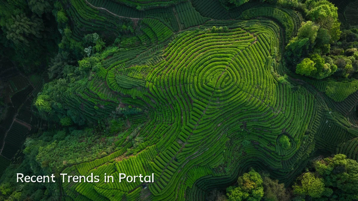 Recent Trends in Portal