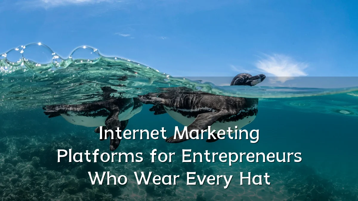 Internet Marketing Platforms for Entrepreneurs Who Wear Every Hat