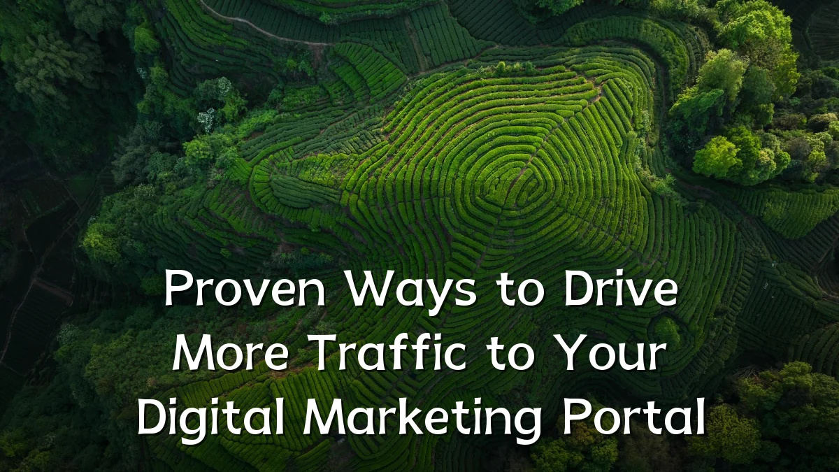 Proven Ways to Drive More Traffic to Your Digital Marketing Portal