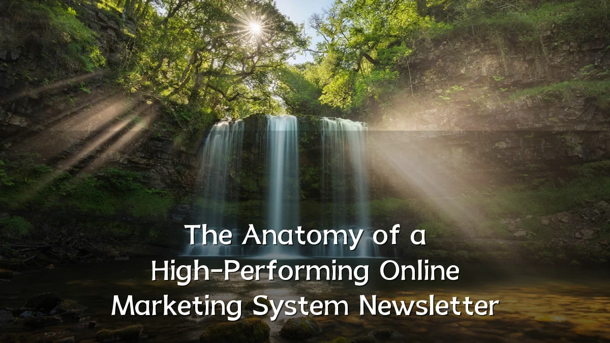 The Anatomy of a High-Performing Online Marketing System Newsletter