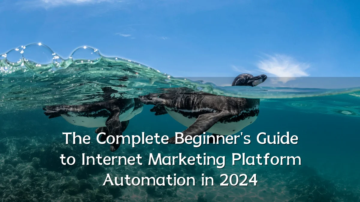 The Complete Beginner's Guide to Internet Marketing Platform Automation in 2024