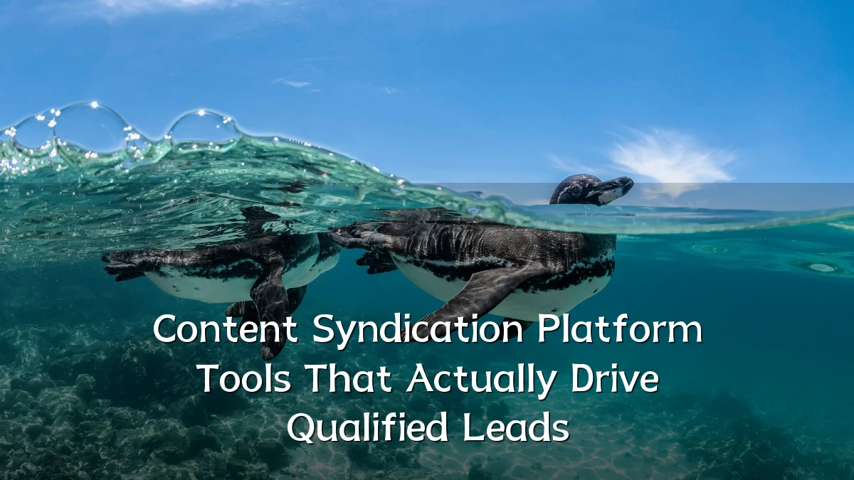 Content Syndication Platform Tools That Actually Drive Qualified Leads