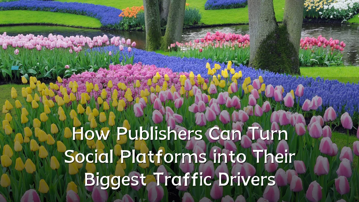How Publishers Can Turn Social Platforms into Their Biggest Traffic Drivers