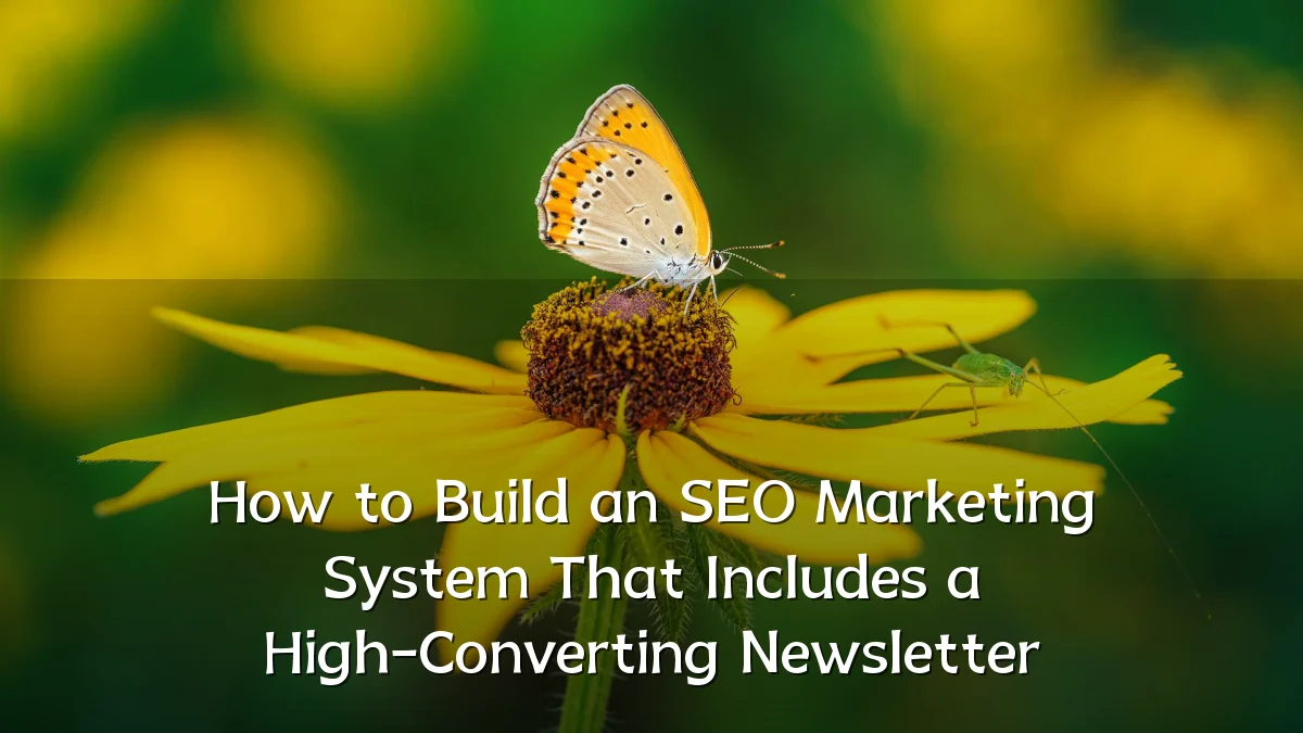 How to Build an SEO Marketing System That Includes a High-Converting Newsletter