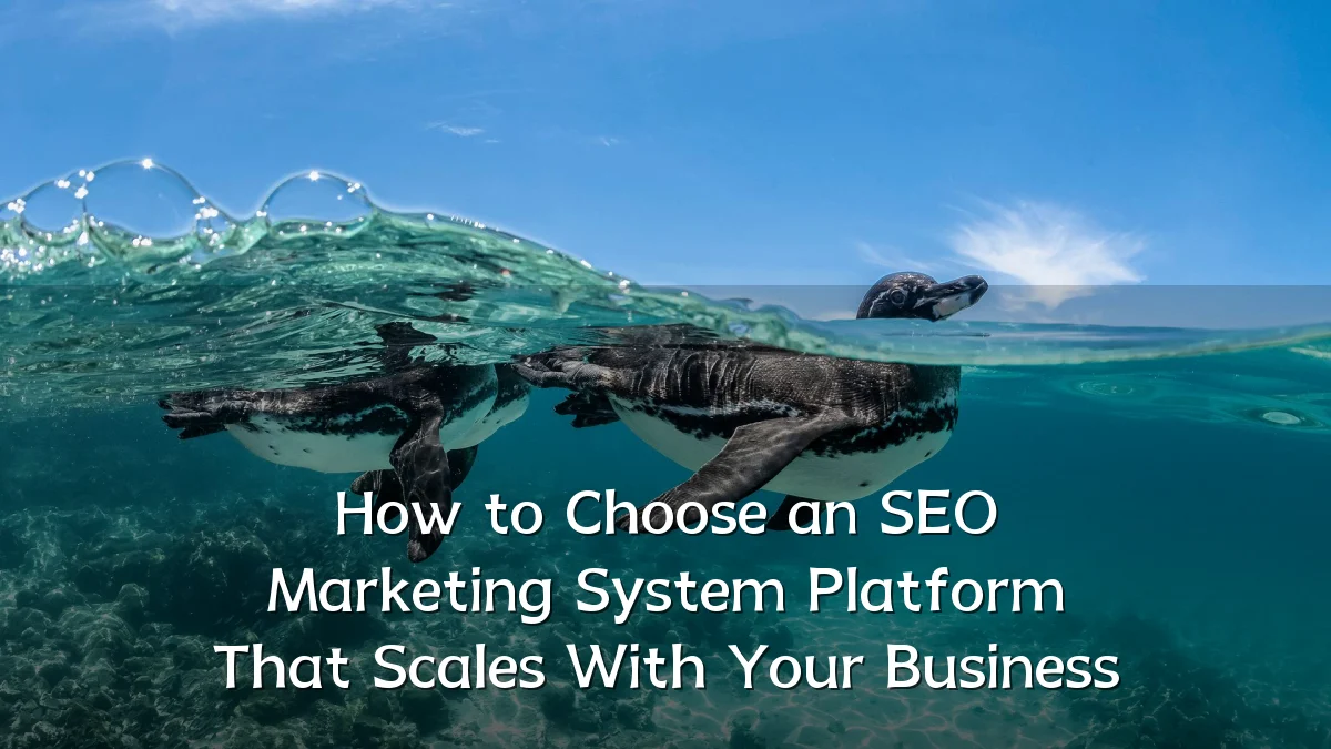 How to Choose an SEO Marketing System Platform That Scales With Your Business