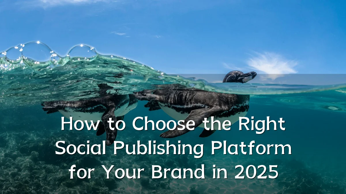 How to Choose the Right Social Publishing Platform for Your Brand in 2025
