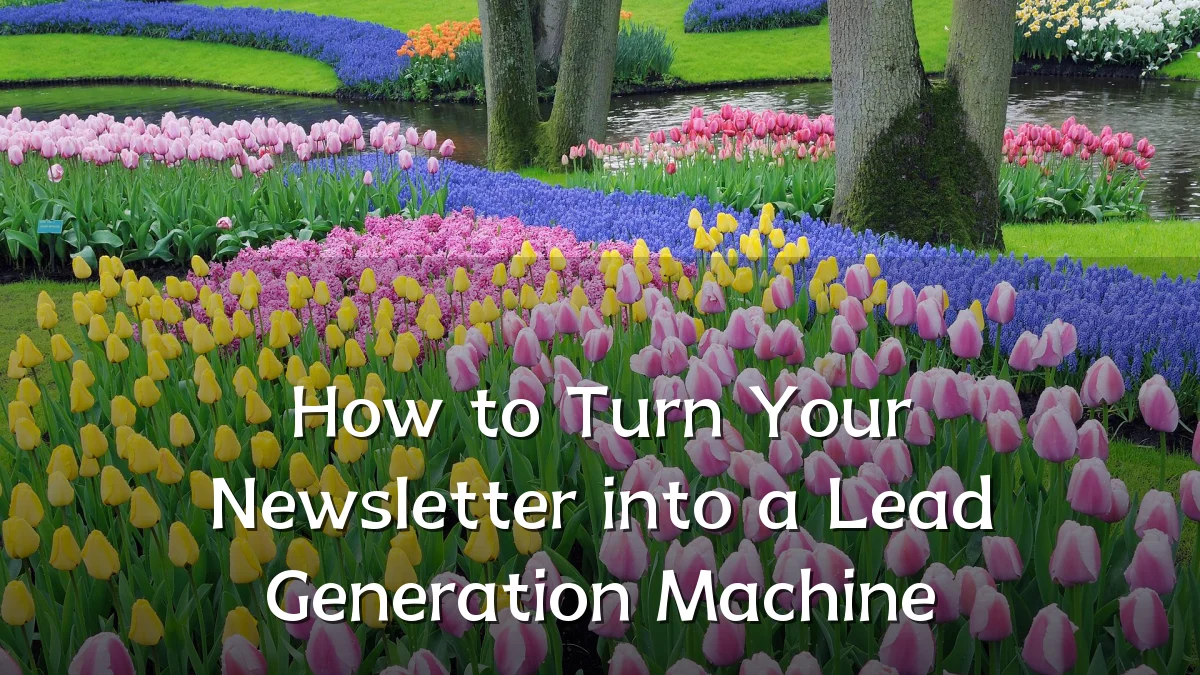 How to Turn Your Newsletter into a Lead Generation Machine