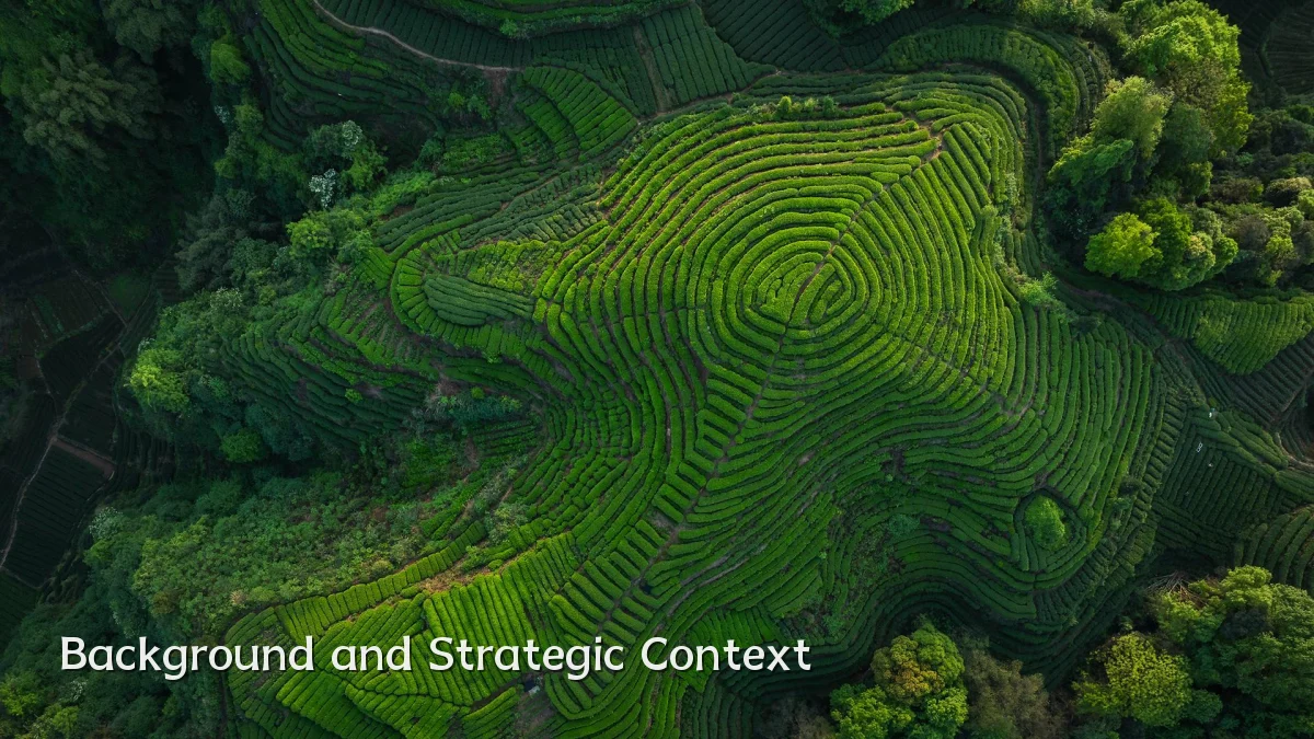 Background and Strategic Context