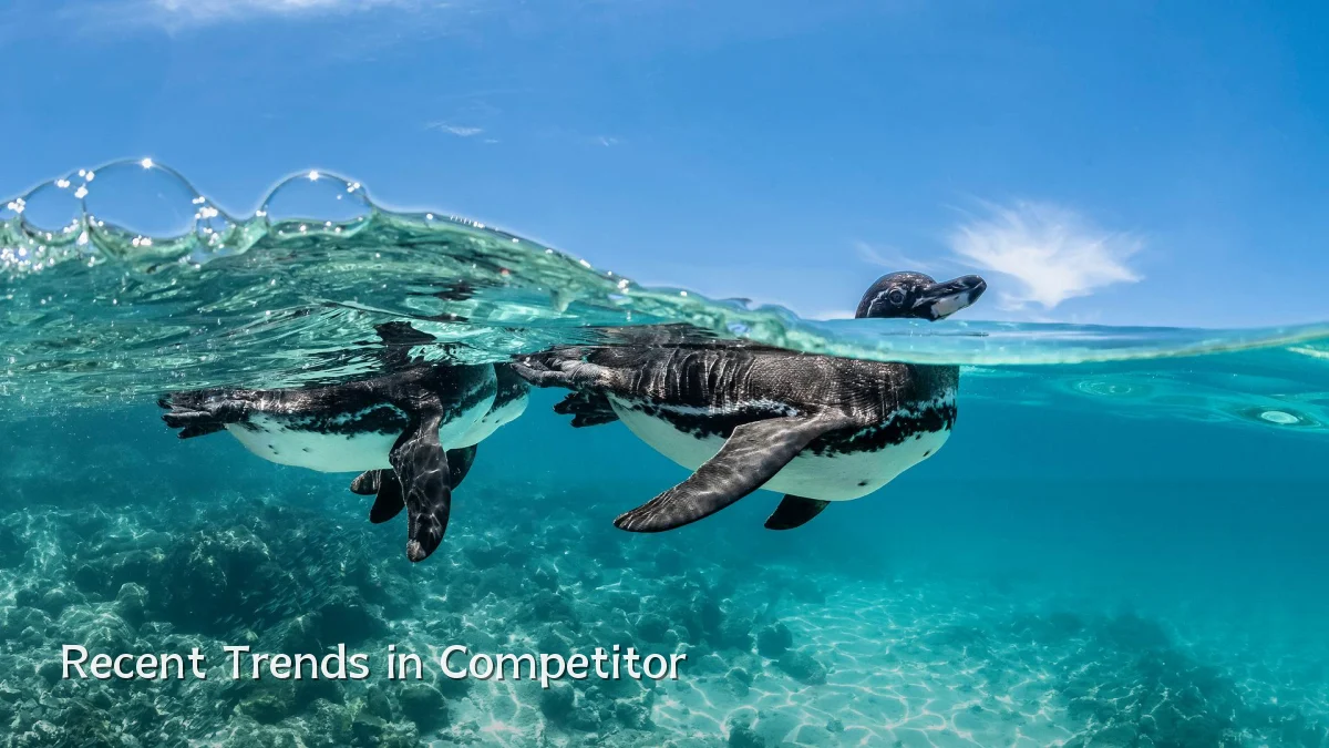 Recent Trends in Competitor