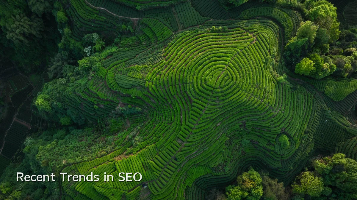 Recent Trends in SEO