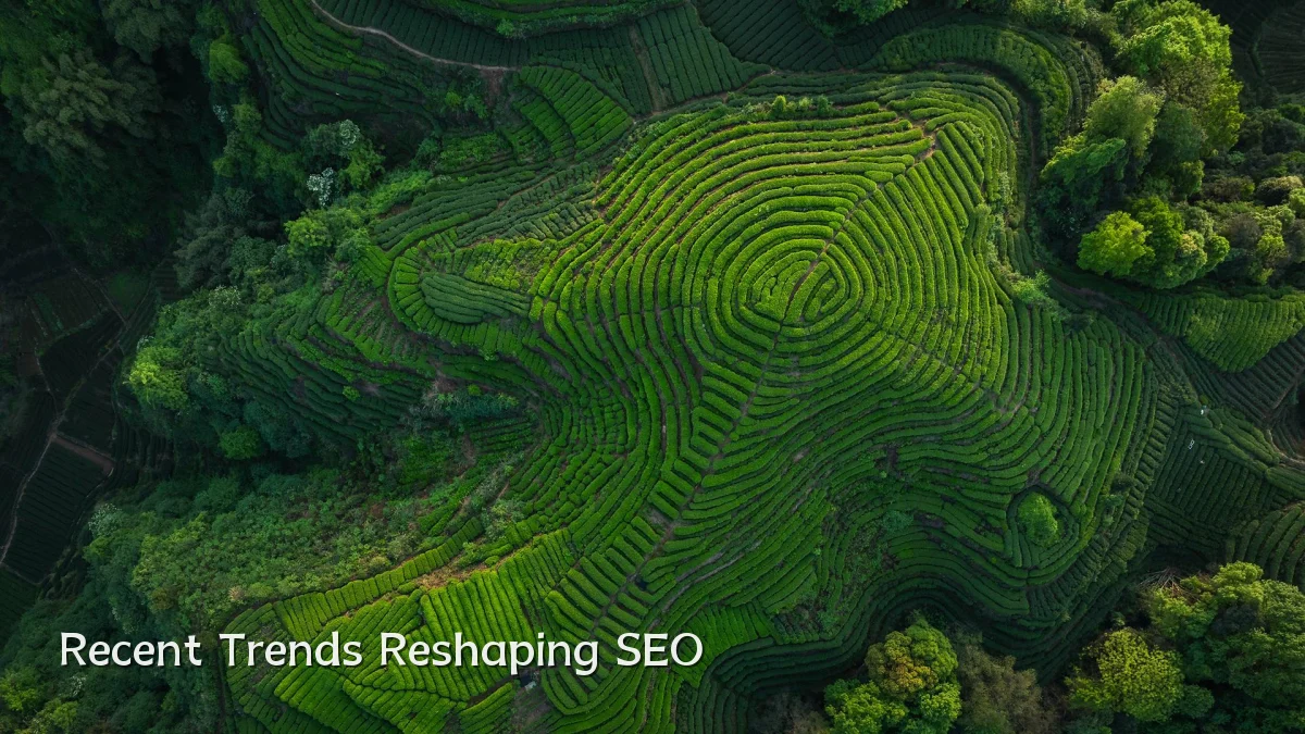 Recent Trends Reshaping SEO