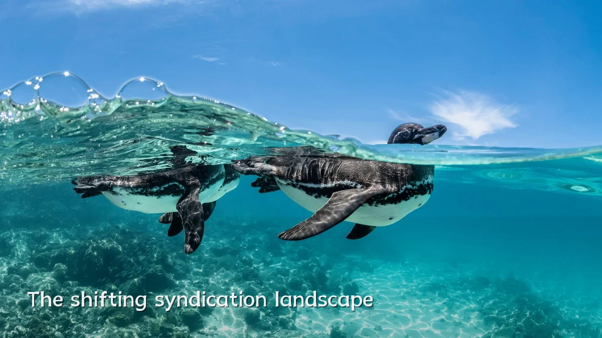 The shifting syndication landscape