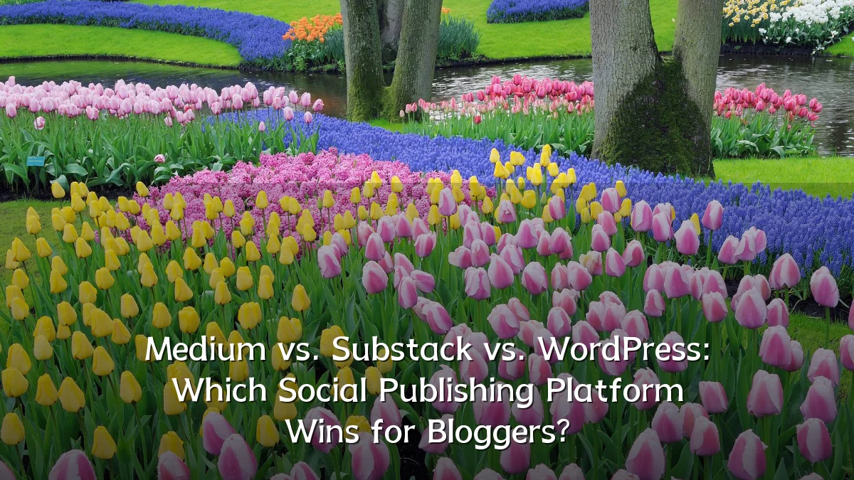 Medium vs. Substack vs. WordPress: Which Social Publishing Platform Wins for Bloggers?