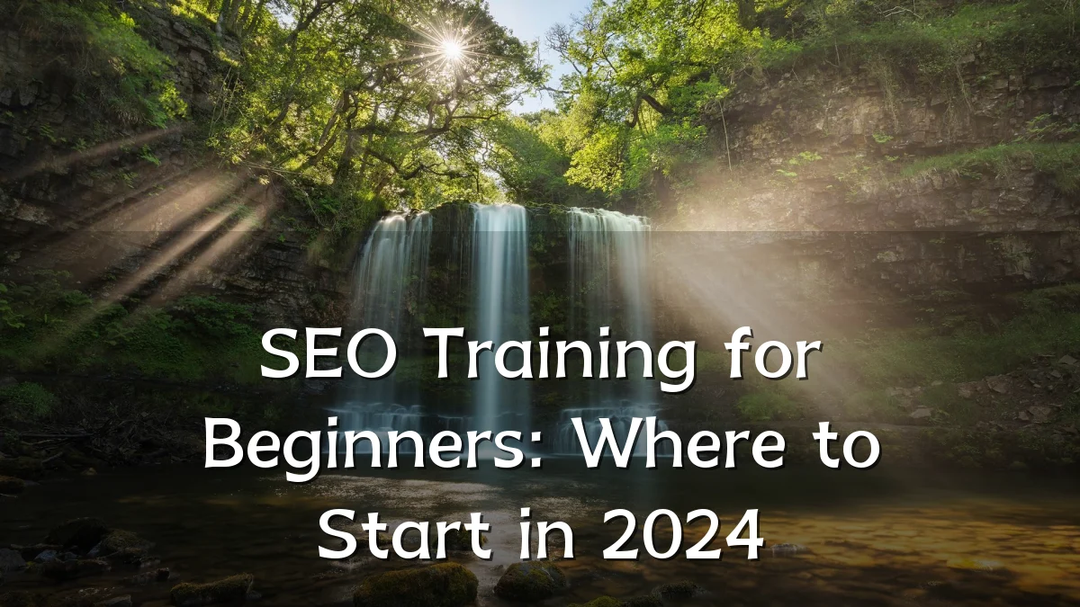 SEO Training for Beginners: Where to Start in 2024